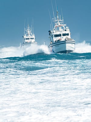 Bisbee's Fishing Tournament