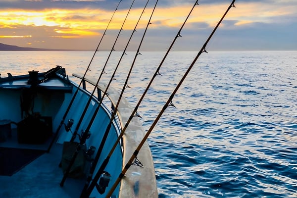 Fishing rods lined up on a charter boat at sunrise