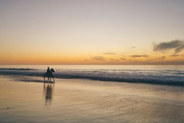 Lone rider on horseback silhouetted on the beach at sunset